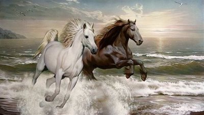 Horse Stable Manure Management
