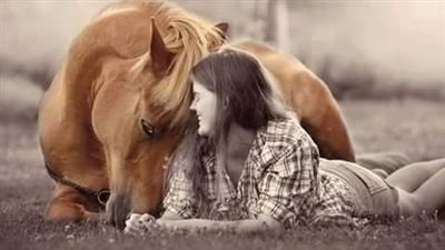 Adopting a Rescue Horse