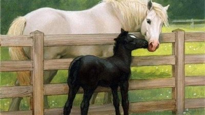 How to Collect Colostrum
