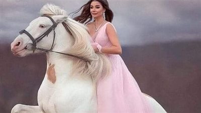 How to Ride Your Dressage Horse From Half Halt to Half Halt