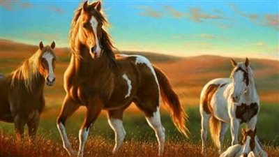 How to Feed a Severely Neglected Rescue Horse