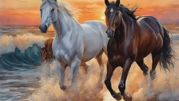 موقع أيام نيوز