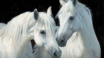 Horse Stall Design