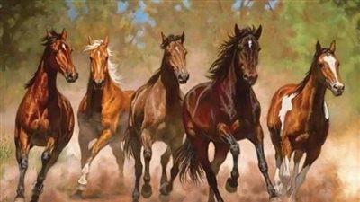 How to Take Your Horse's Vital Signs