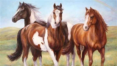 Understanding Certificates of Veterinarian Inspection (Health Certificates)