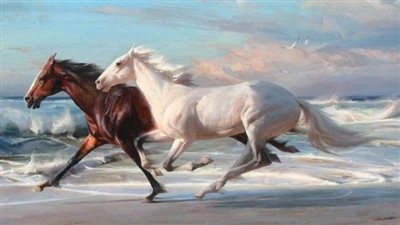 Key Factors for Feeding Horses in Winter