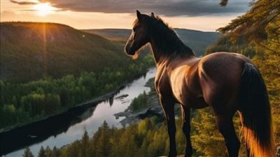 How Long Do Horses Live?