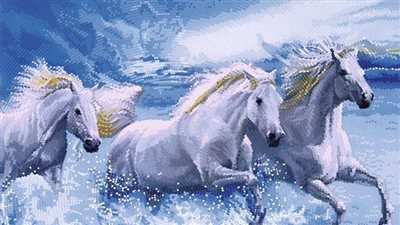 The Waterford running gag bit: how does it work and what type of horse does it suit?