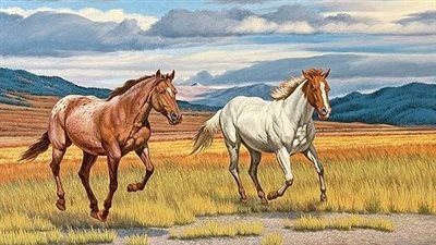 What is the Cost of Horse Ownership?