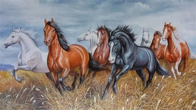 Horse Grooming Tips
