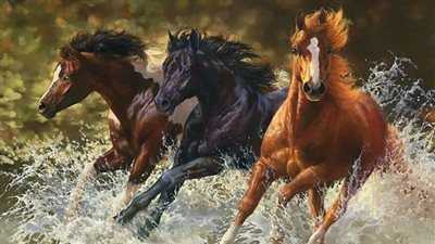 Teach Your Horse to Stand Still While Mounting