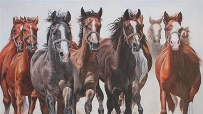 The Equine Vet Shortage