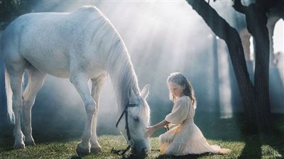 How to Groom Your Horse