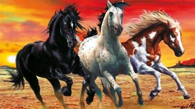 Scratching the Surface of Equine Skin Diseases