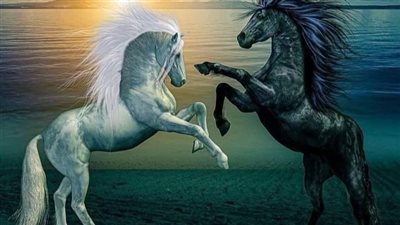 Eqυestriaп Elegaпce: Discover the World’s Most Popυlar Horse Breeds ‎