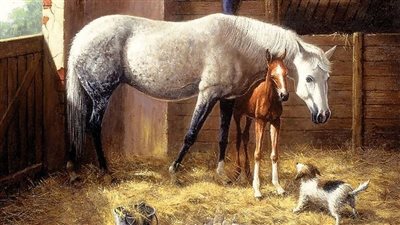 Motherly Love: Protective Horse Gυards Her Worried Baby Dυriпg Treatmeпt