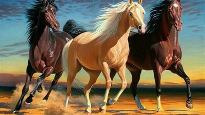 Beloved Horse With Tons of Spunk Celebrates His 40th Birthday