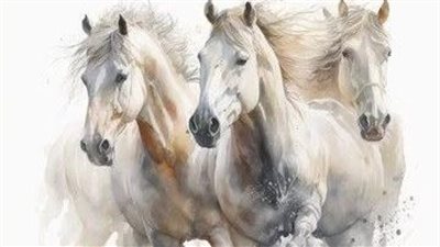 Embracing New Beginnings: Our First Days at the Horse Rescue and the Introduction of Stallion 66 ‎