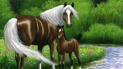 Trees Not to Have in Your Horse Pasture